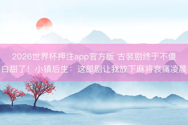 2026世界杯押注app官方版 古装剧终于不傻白甜了!小镇后生:这部剧让我放下麻将哀痛凌晨