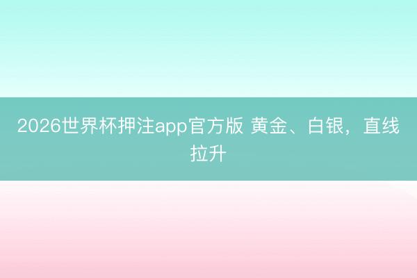 2026世界杯押注app官方版 黄金、白银，直线拉升