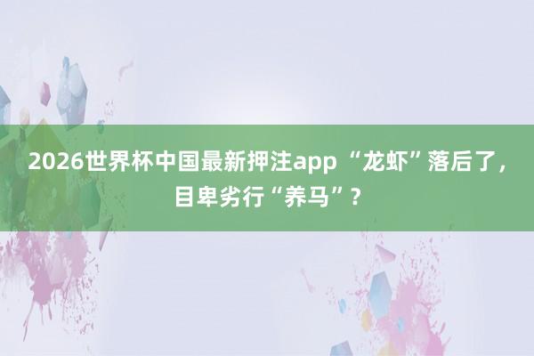 2026世界杯中国最新押注app “龙虾”落后了，目卑劣行“养马”？